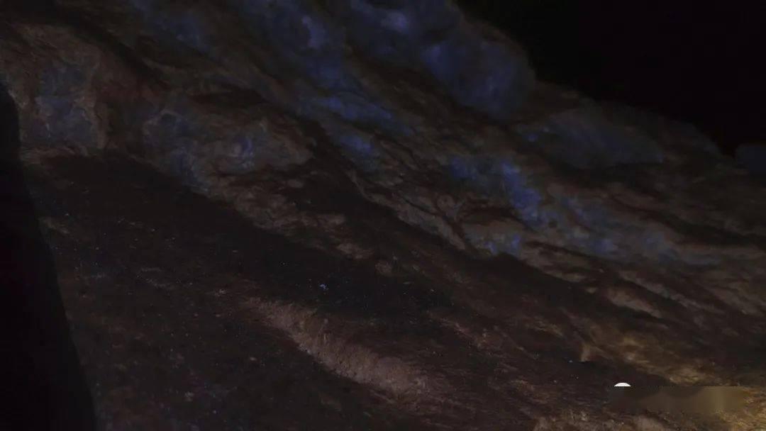 探索天涯问答交流平台如何切西瓜