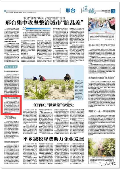 小猫钓鱼开船版最新版下载